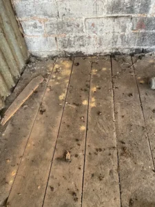 Timber Survey 1